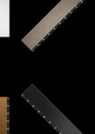 #Maya suspension - Pan International