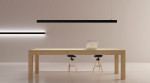 #Maya suspension - Pan International