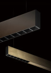 #Maya suspension - Pan International
