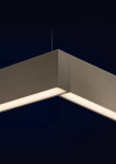 #Maya suspension - Pan International